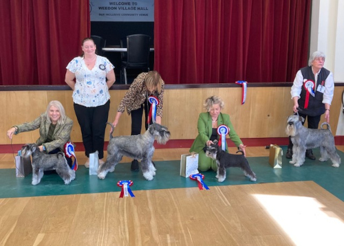 2025: SCGB Open Show Sep 25